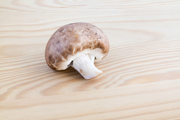 Chestnut mushroom on wood
