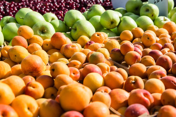 Farmer's Market