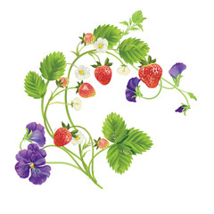 Vector strawberry