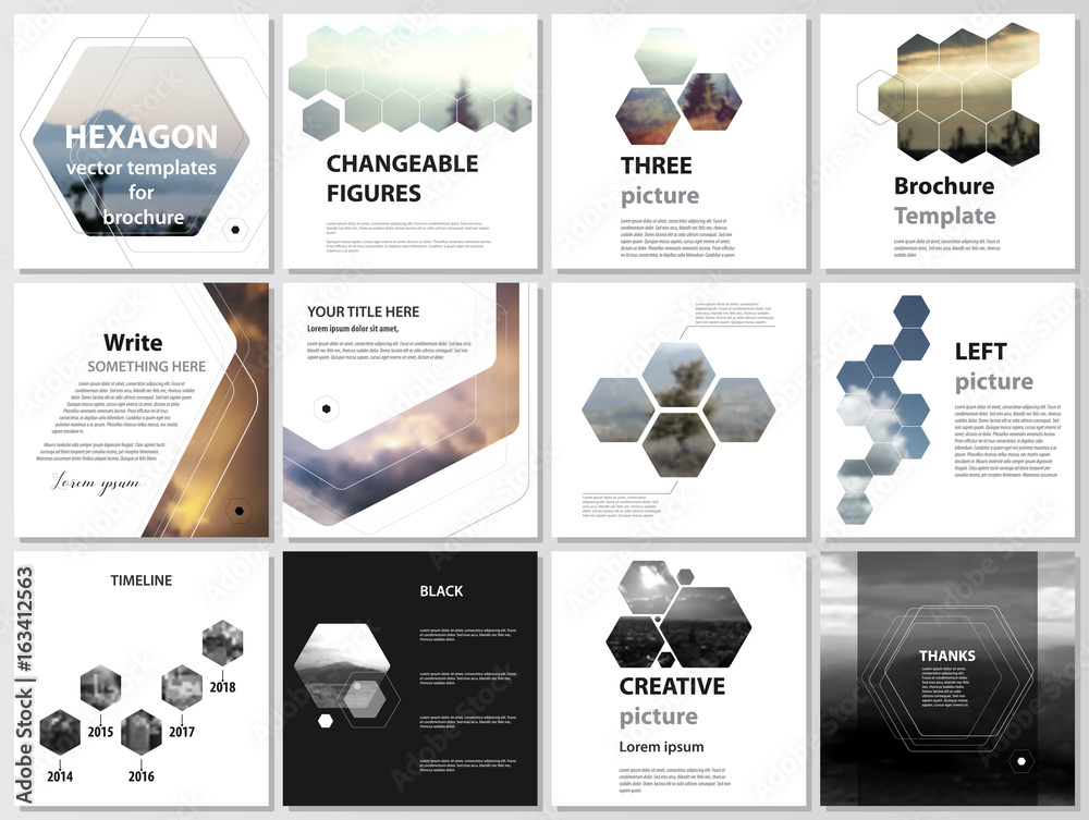 Wall mural abstract polygonal modern style with hexagons. the minimalistic vector illustration of the editable 