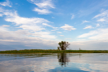 An idyllic landscape of lake shore with tree and bulrush, beautiful deep sky and reflection