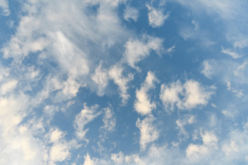Altocumulus clouds on a contrasting light blue sky