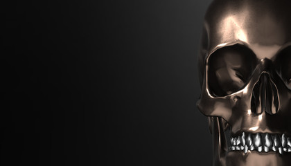 Human skull with dark background. Death, horror, anatomy and halloween symbol. 3d rendering. 3d illustration