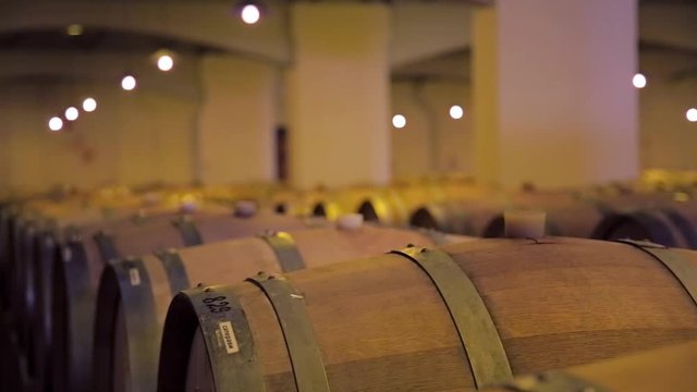 Wine barrels stacked in the cellar of the winery