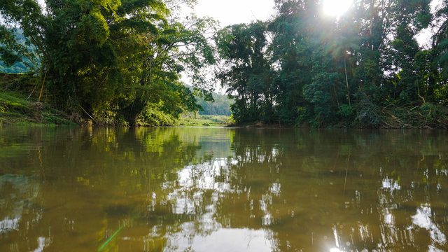Summer river