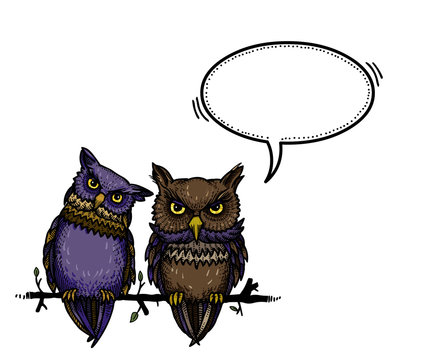 Cartoon image of cute owls. An artistic freehand picture.