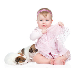 Happy little girl with puppies. isolated on white background