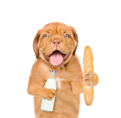 Puppy with a bottle of milk and bread in the paws. isolated on white background