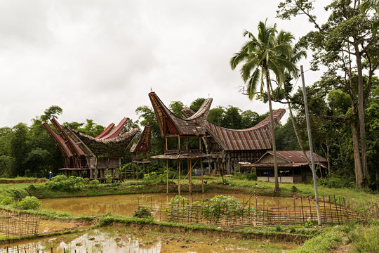 Casas típicas de los Tana Toraja, Sulawesi. Indonesia.