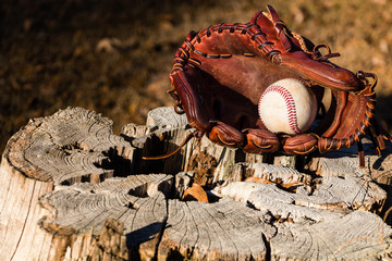 Baseball and Glove on Tree Stump with copy space
