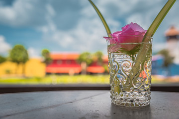 Beautiful pink flower in glass vase.