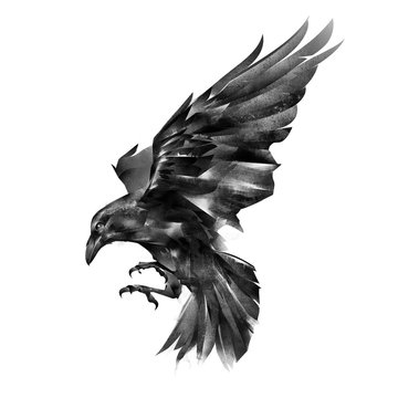 painted raven on a white background