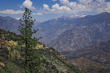 Sequoia National Park, California, USA