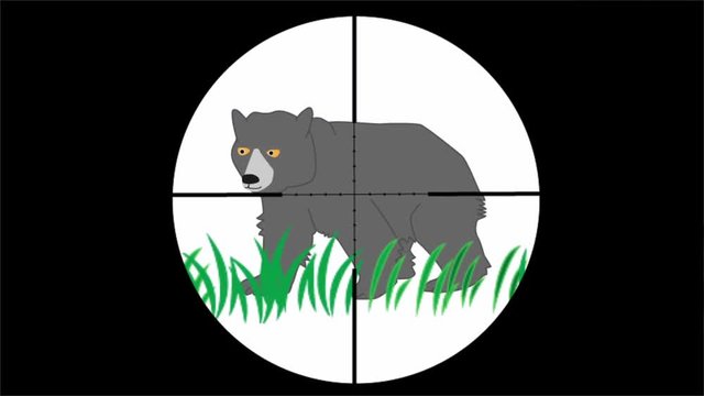 熊を銃で駆除する