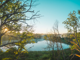 The Lake in the Trees
