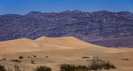 Fototapeta na wymiar Sand Dunes, Death Valley National Park, California, USA