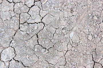 Dry and cracked earth background