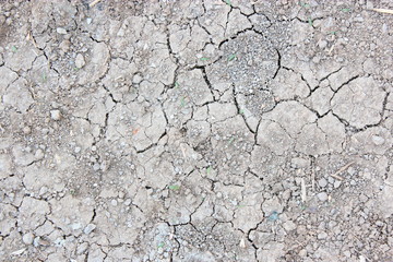 Dry and cracked earth background