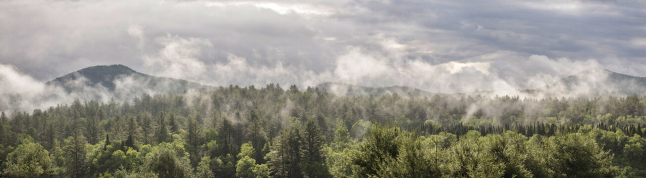Fototapeta Fog on Green Mountains - Panoramic