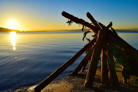 Driftwood Pyramid At Point Defiance In Washington