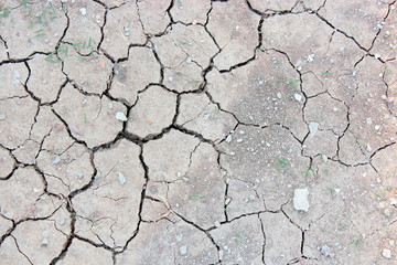 Dry and cracked earth background