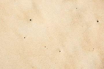 Sand on the the beach as background