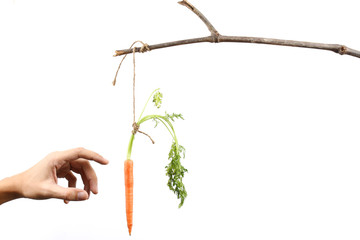 Hand reaching out to carrot tied to stick