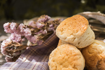 Homemade fresh classic scone on wood background