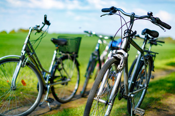 Several bicycles on a green meadow. Family came on a picnic in nature