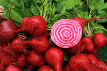 rot-weiß gestreifte Rote Bete 
