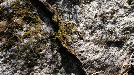 The past becomes a texture