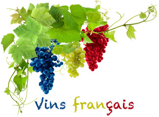 Fototapety   vins français 