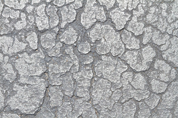 cracked pavement/tarmac