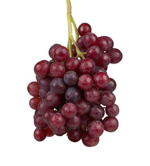 A bunch of purple grapes isolated on white background.
