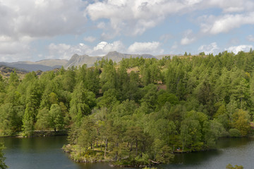 Tarn Hows in English Lake District