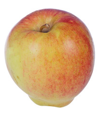 brebern apple on white