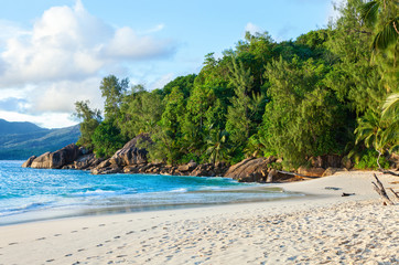 Tropical beach with  granite boulders and palm trees.  Mahe, Seychelles.