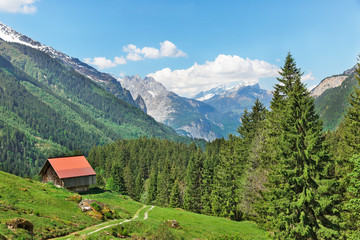 Fototapeta na wymiar houses with red roofs in the Swiss Alps