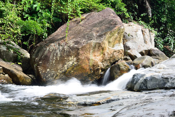 Forest stream from Sirindhorn Waterfall, Thailand