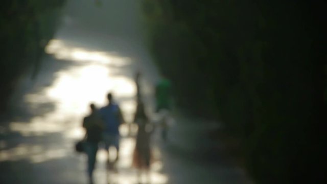 Nominal figure.Visitors walk under the shade of trees,walking on road.memories,happy hour.