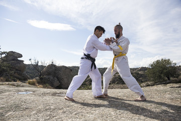 Men doing combat exercises during a martial arts training