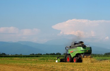Combine harvester on wheat field in Italy, near slovenian border