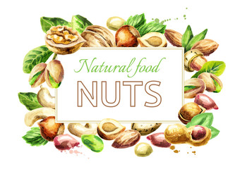 Nuts mix background. Natural food. Watercolor hand-drawn illustration