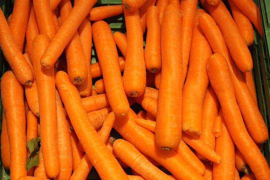 Bright orange carrots