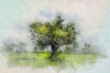 Lonely tree in the field with Aquarelle water paint effect