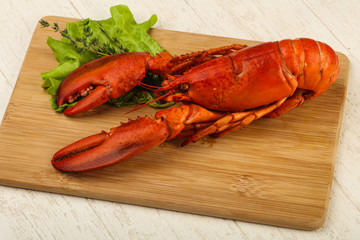 Lobster