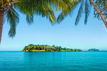 Fototapeta na wymiar Green island in the Ocean with Two coconut palms tree frame