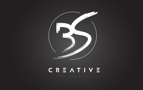 BS Brush Letter Logo Design. Artistic Handwritten Letters Logo Concept.