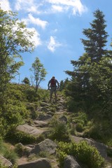 Fototapeta premium Hiker in the Vosges mountains in France