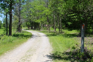 Fototapeta premium The curve in the gravel path at the park.